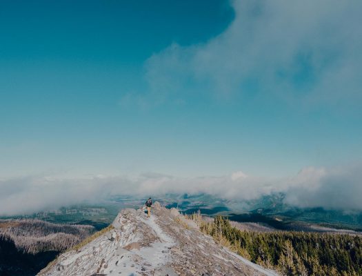 notgeneric_bg3.jpg image